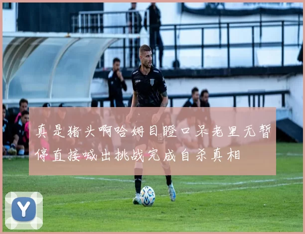 真是猪头啊哈姆目瞪口呆老里无暂停直接喊出挑战完成自杀真相