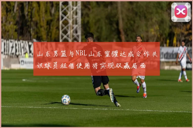 山东男篮与NBL山东蜜獾达成合作共识球员租借使用将实现双赢局面