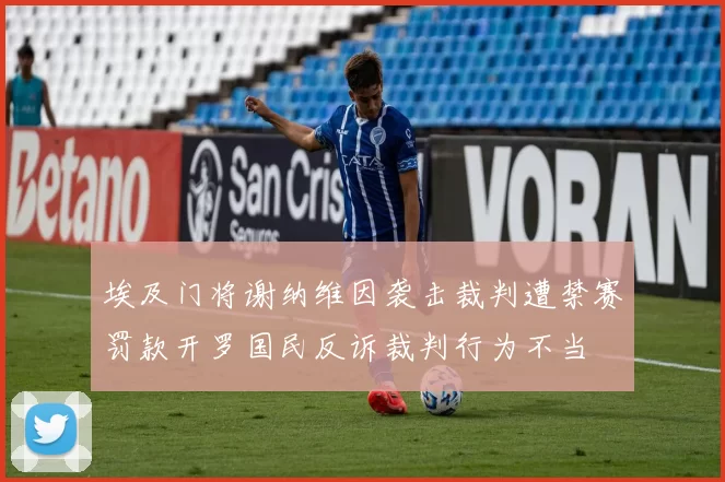 埃及门将谢纳维因袭击裁判遭禁赛罚款开罗国民反诉裁判行为不当